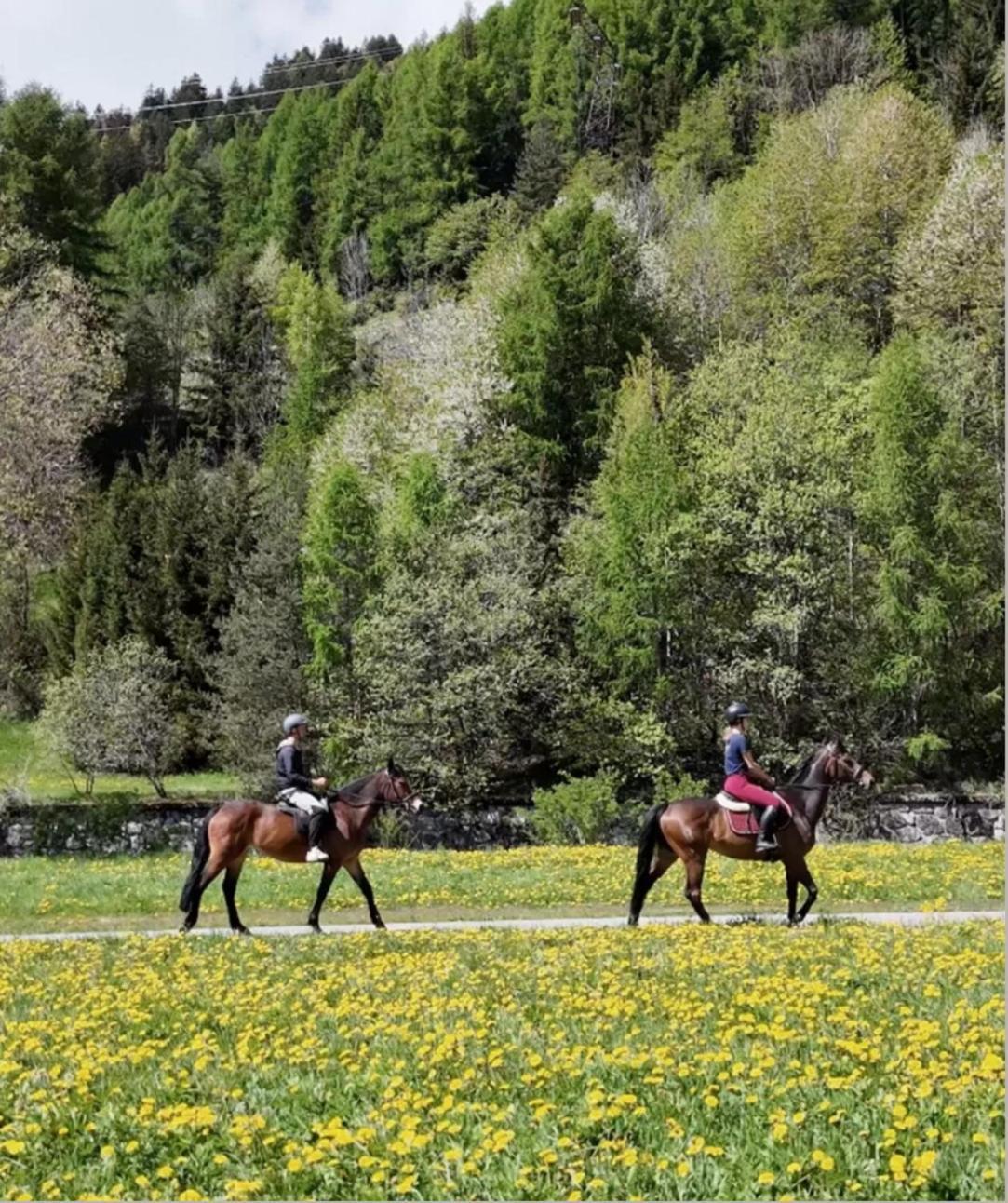 Sankt Moritz Suite 外观 照片